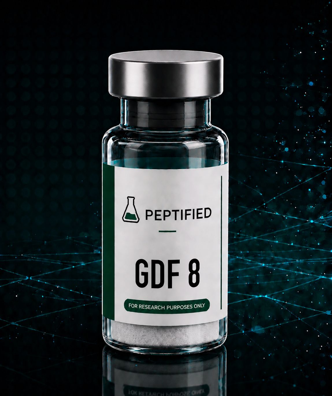 GDF-8 (Myostatin) - Research Compound
